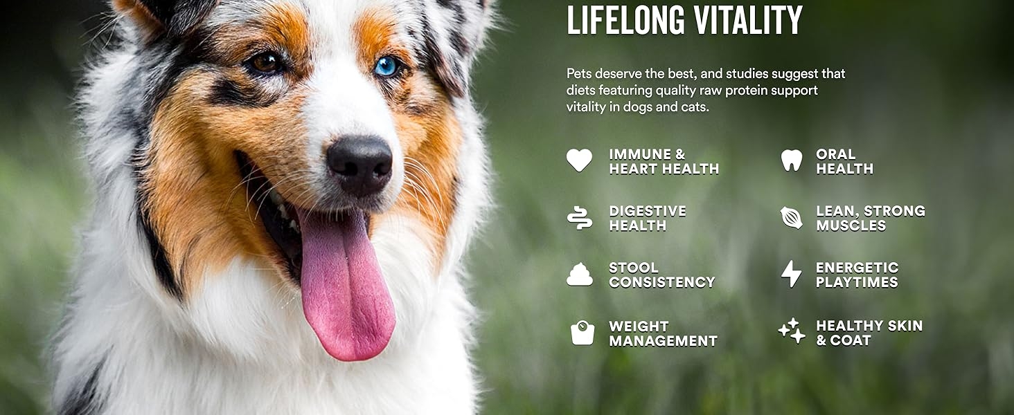 Lifelong vitality. Picture of dog and product benefits.