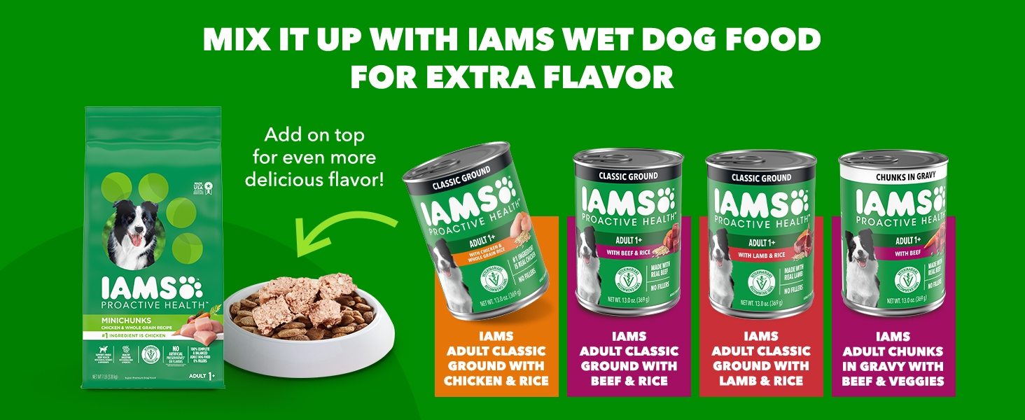 iams dry dog