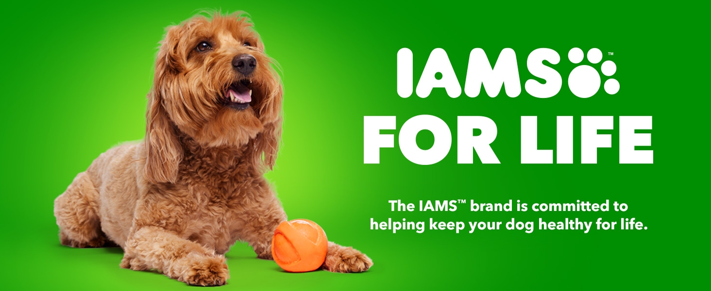 iams for life