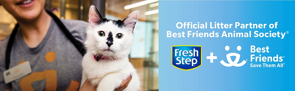 Fresh Step