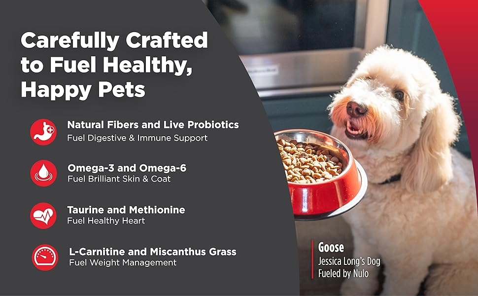 Jessica Long's dog Goose with a bowl of Nulo dog kibble and more feature callouts
