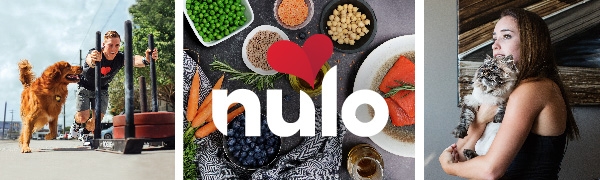 Nulo Hero Image 2023
