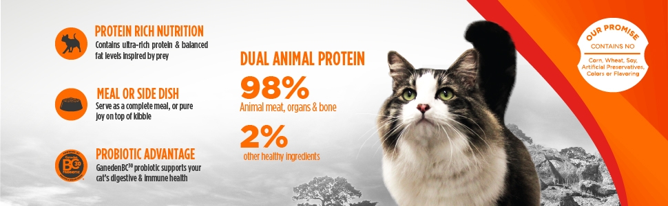 Cat Freeze Dried Raw-2