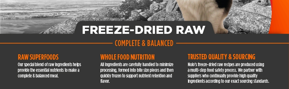 Cat Freeze Dried Raw-3