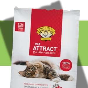 Cat attract