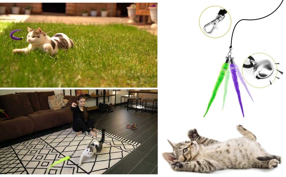 The fully extended cat wand plus string are long enough, which can cover a large space for playing.