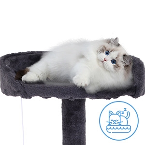 cat tree